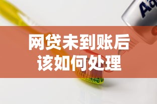 网贷未到账后该如何处理