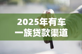 2025年有车一族贷款渠道大全