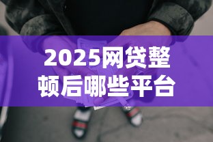 2025网贷整顿后哪些平台还能下款