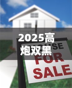 2025高炮双黑贷套路全揭秘