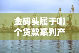 金码头属于哪个贷款系列产品