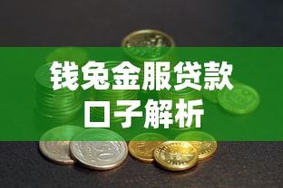 钱兔金服贷款口子解析