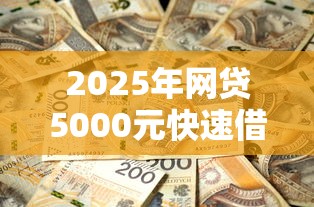 2025年网贷5000元快速借款平台推荐