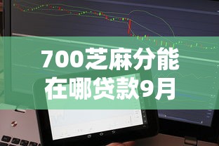 700芝麻分能在哪贷款9月手把手测评！必申这5个700芝麻分借钱在平台