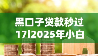 黑口子贷款秒过17i2025年小白借款指南！今日展示5个网贷口子秒批借钱十七万
