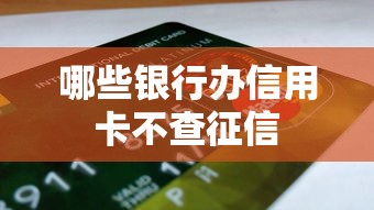 哪些银行办信用卡不查征信