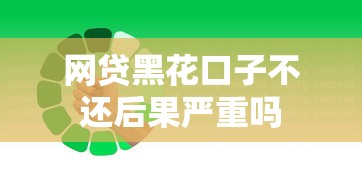 网贷黑花口子不还后果严重吗