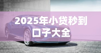 2025年小贷秒到口子大全