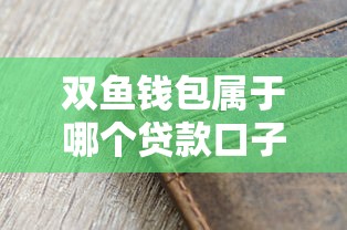 双鱼钱包属于哪个贷款口子