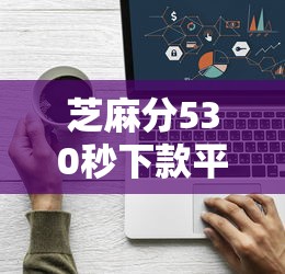 芝麻分530秒下款平台2025精选