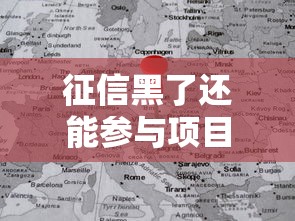 征信黑了还能参与项目投标吗