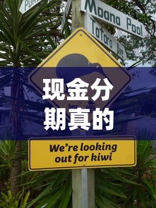 现金分期真的不会上征信吗