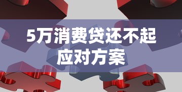 5万消费贷还不起应对方案