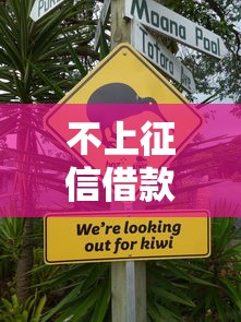 不上征信借款口子大全2025最新