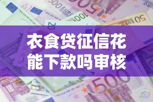 衣食贷征信花能下款吗审核条件解析