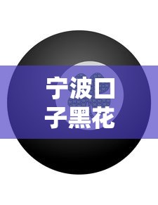 宁波口子黑花了借款风险解析