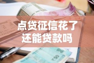 点贷征信花了还能贷款吗