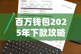 百万钱包2025年下款攻略及现状解析