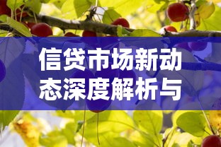 信贷市场新动态深度解析与展望