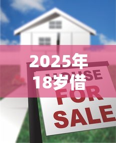 2025年18岁借款必过十大平台