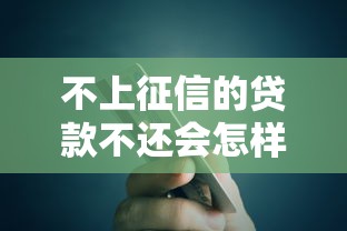不上征信的贷款不还会怎样
