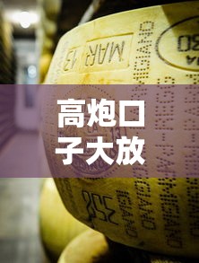 高炮口子大放水最新借款攻略