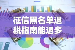 征信黑名单退税指南能退多少