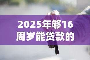 2025年够16周岁能贷款的软件9月今日热点！解析这五个有车可以借的网贷平台