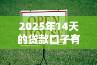 2025年14天的贷款口子有哪个精选这5个！本篇为您详细分析！
