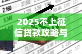 2025不上征信贷款攻略与风险解析
