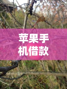 苹果手机借款黑花了怎么办