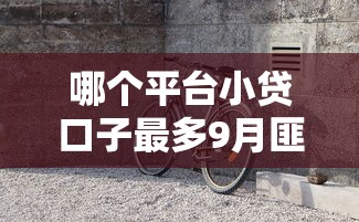 哪个平台小贷口子最多9月匪夷所思！挖掘这5个不看车龄的网络贷款