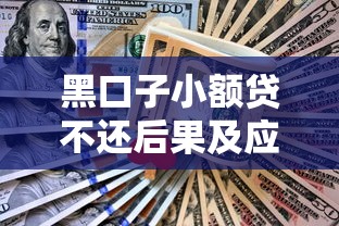 黑口子小额贷不还后果及应对策略