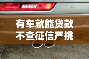 有车就能贷款不查征信严挑这5个！同时梳理用手机贷款不查征信