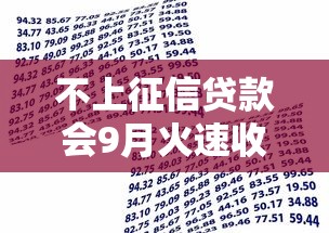 不上征信贷款会9月火速收藏！验证5个2025年借款不被拒的平台推荐