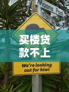 买楼贷款不上征信的可行性解析