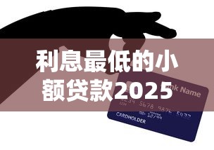 利息最低的小额贷款2025年来瞧这5个！本文为您全面亲测！