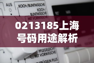 0213185上海号码用途解析