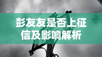 彭友友是否上征信及影响解析