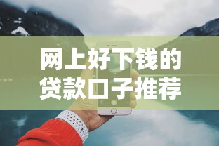 网上好下钱的贷款口子推荐