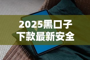 2025黑口子下款最新安全教程