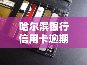 哈尔滨银行信用卡逾期5年解决攻略