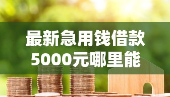 最新急用钱借款5000元哪里能贷！2025年严挑这5个网贷口子借钱5000元能用