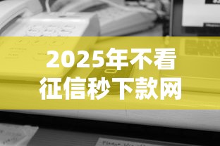 2025年不看征信秒下款网贷贴吧