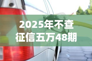 2025年不查征信五万48期上岸口子9月你get到了吗！顺便挖掘五个网贷平台五万分十二期轻松还清