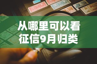 从哪里可以看征信9月归类这5个！本文为您全面亲测！