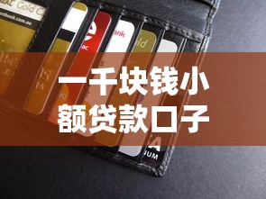 一千块钱小额贷款口子大全