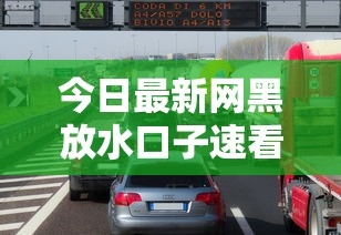 今日最新网黑放水口子速看