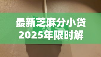最新芝麻分小贷2025年限时解锁！顺道汇总这5个比较正规的网上贷款