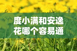 度小满和安逸花哪个容易通过